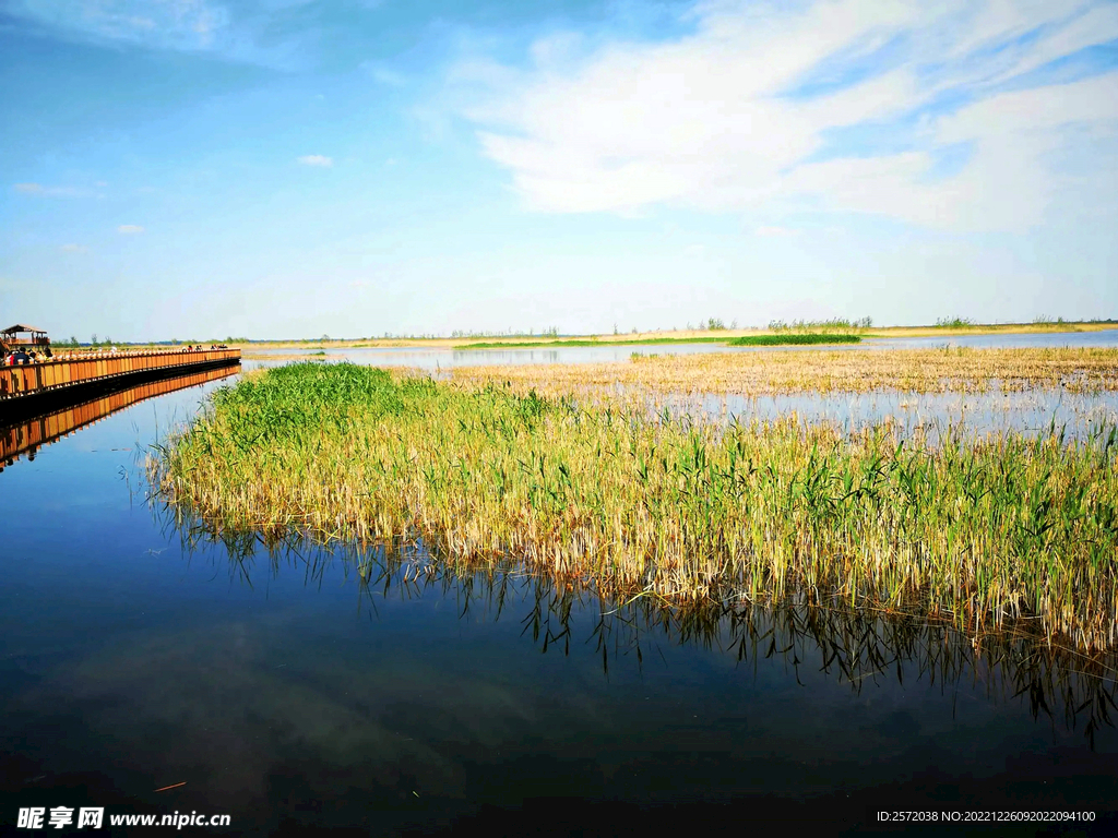 河北白洋淀湿地公园