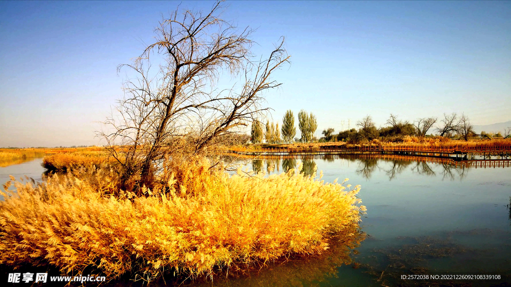 甘肃张掖国家湿地公园
