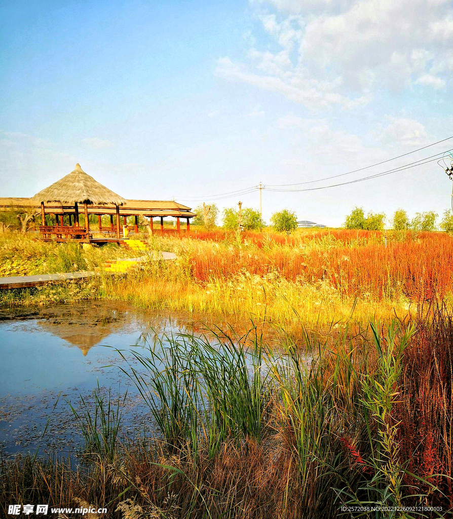 甘肃张掖国家湿地公园