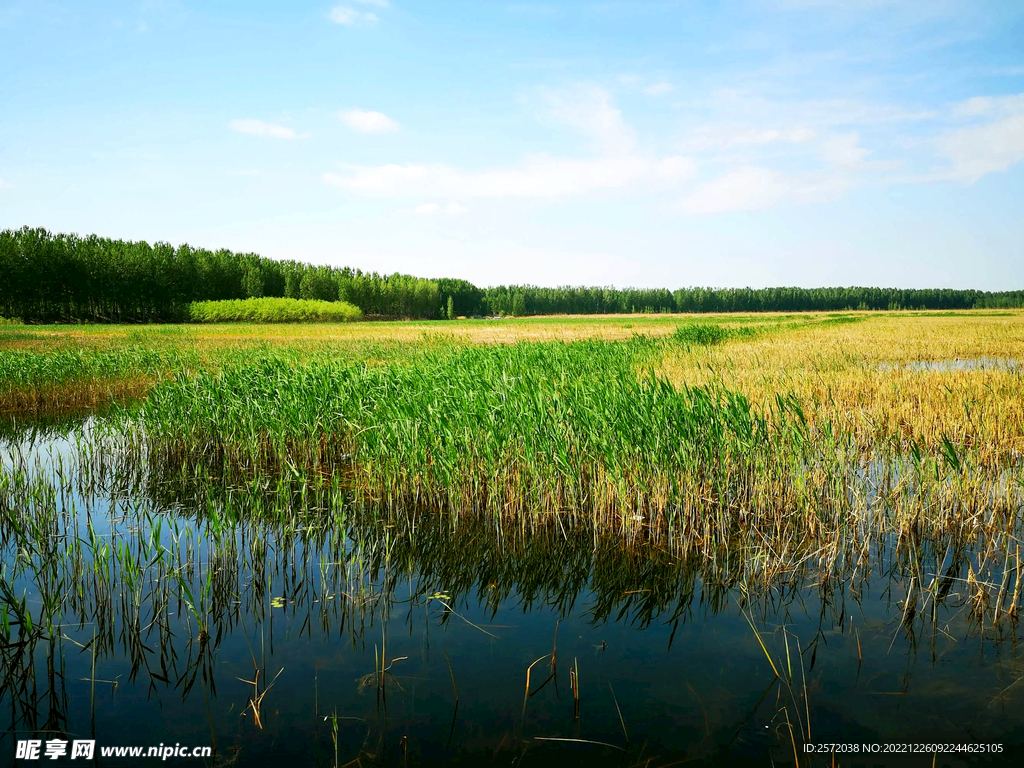 河北白洋淀湿地公园