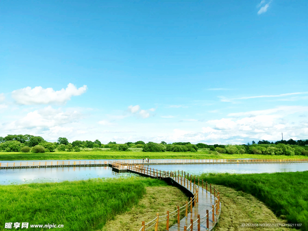 黑龙江黑瞎子岛湿地
