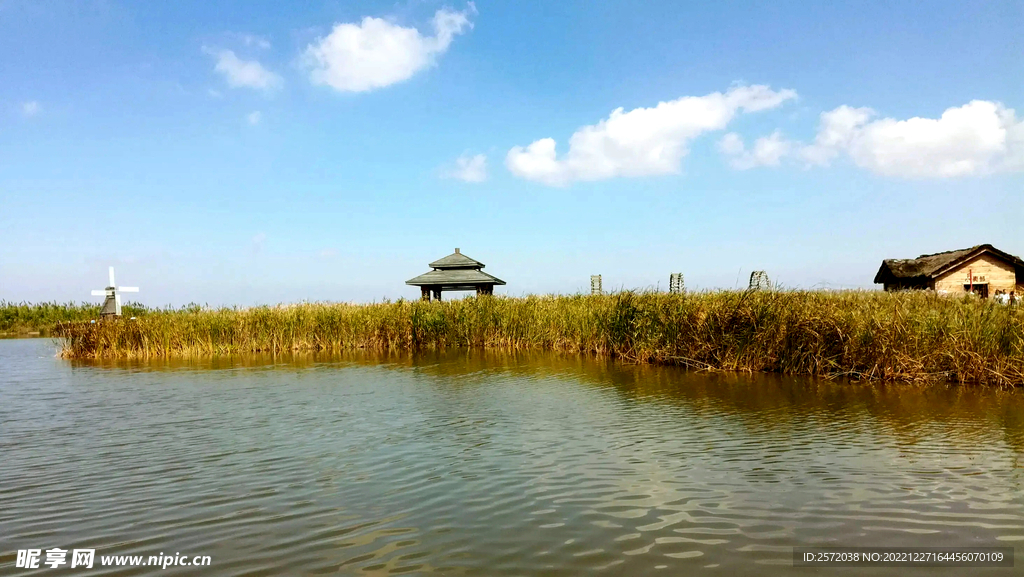 浙江宁波杭州湾国家湿地