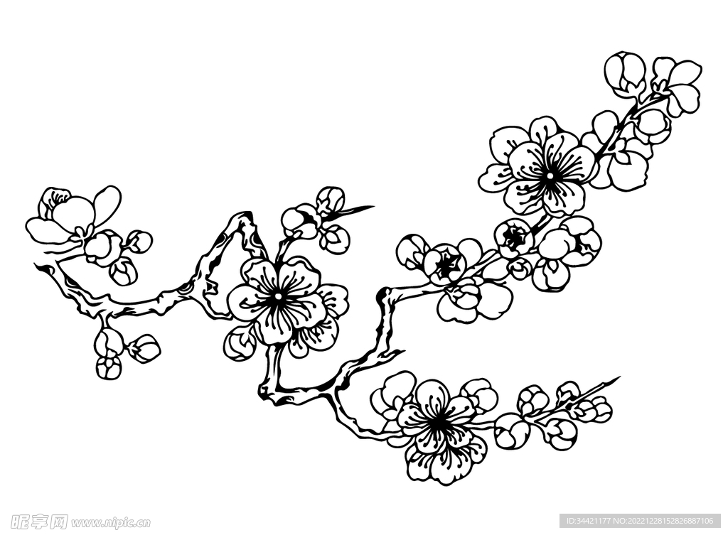 梅花国潮手绘插画黑白线稿矢量图
