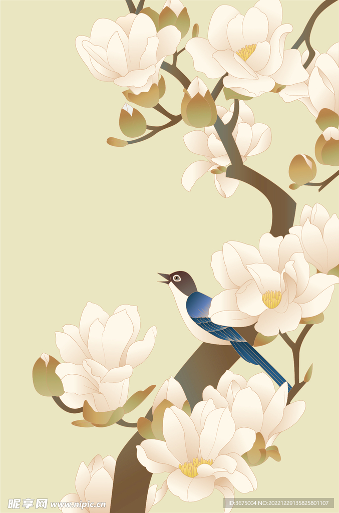 玉兰花矢量插画