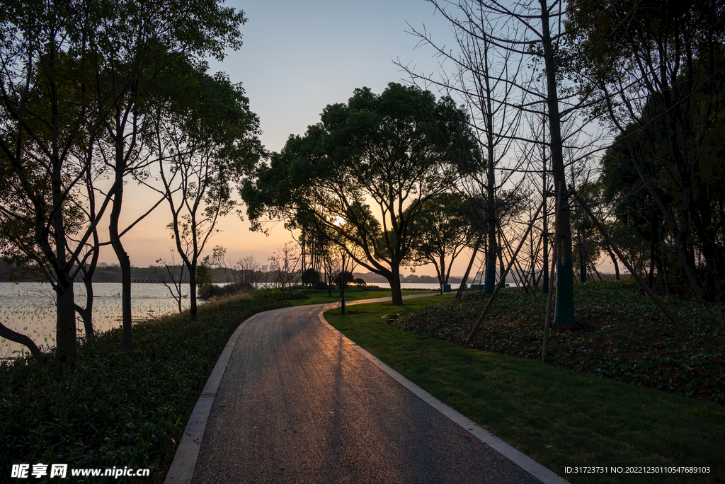 黄昏半夜景观道 