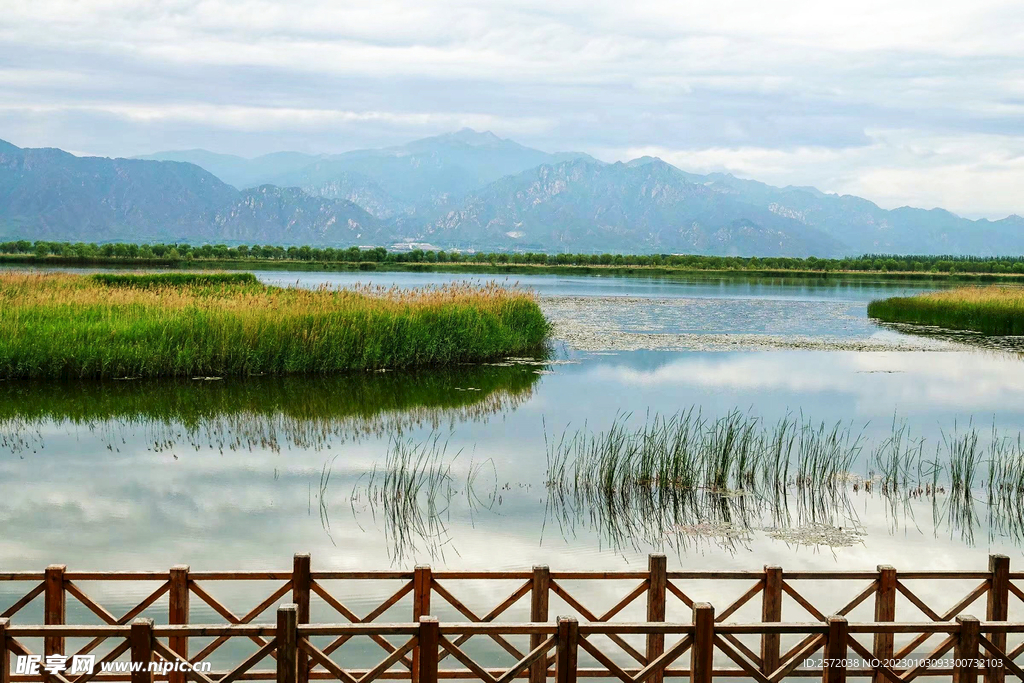 北京野鸭湖湿地公园