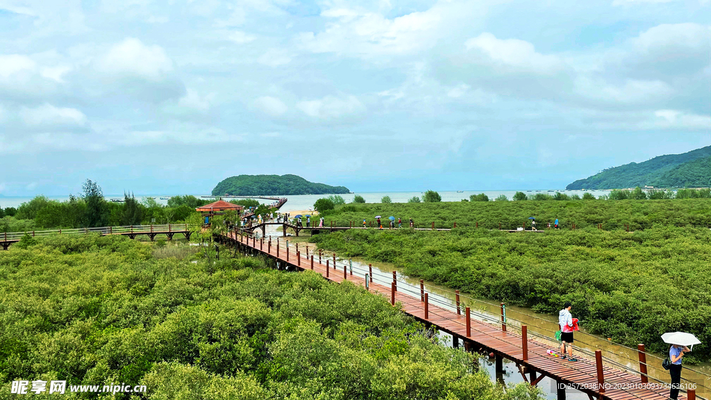 广东海陵岛红树林湿地