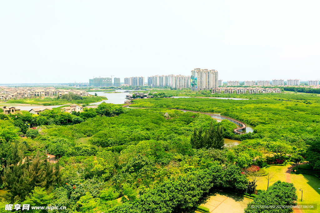 海南澄迈红树林湿地