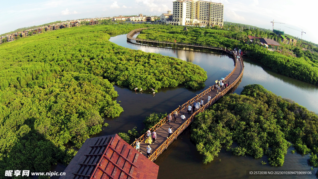 海南澄迈红树林湿地