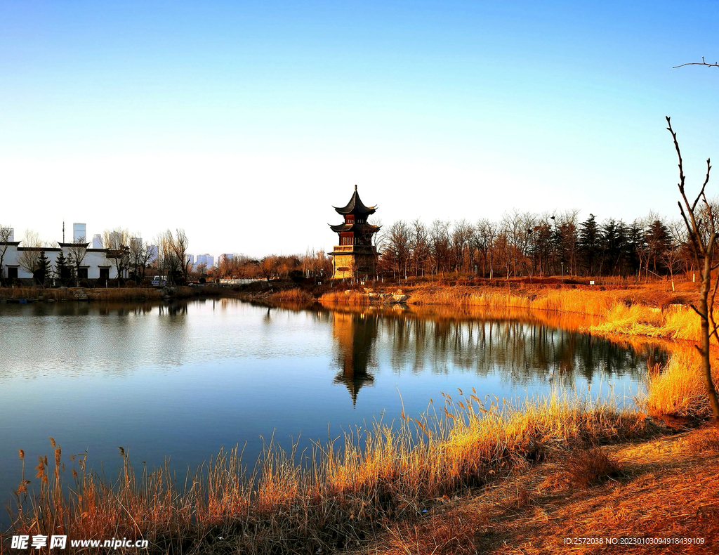 山东青岛唐岛湾湿地公园