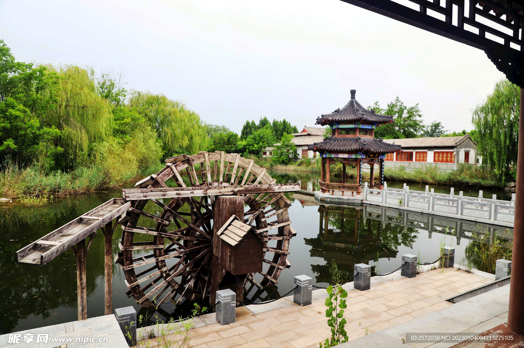 山东汶上莲花湖湿地公园