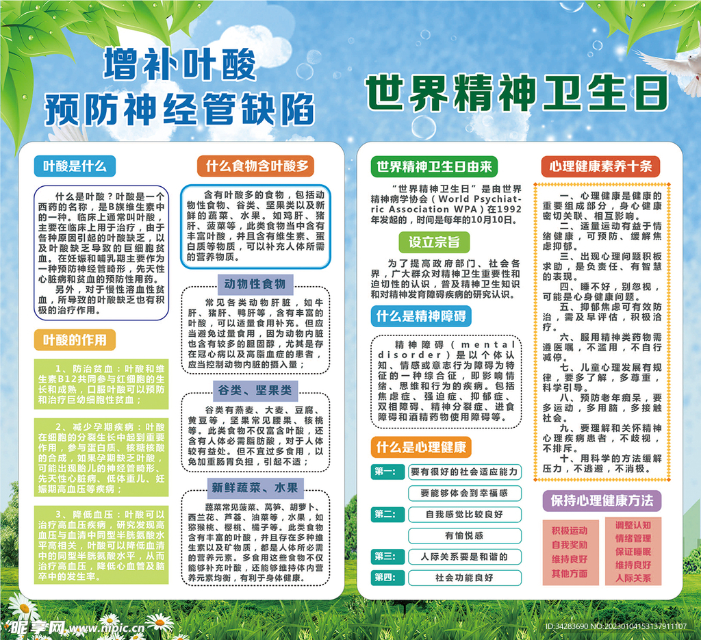 叶酸及世界精神卫生日