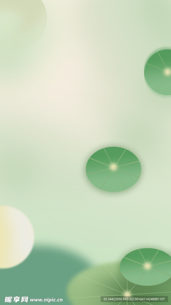 夏至荷叶夏天背景