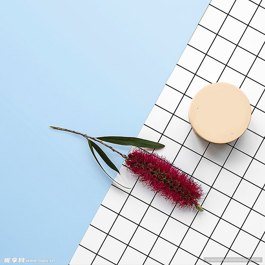 小清新干花桌布主图背景