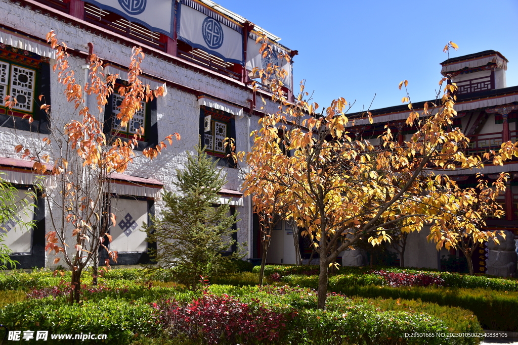 藏式建筑中庭园林树木