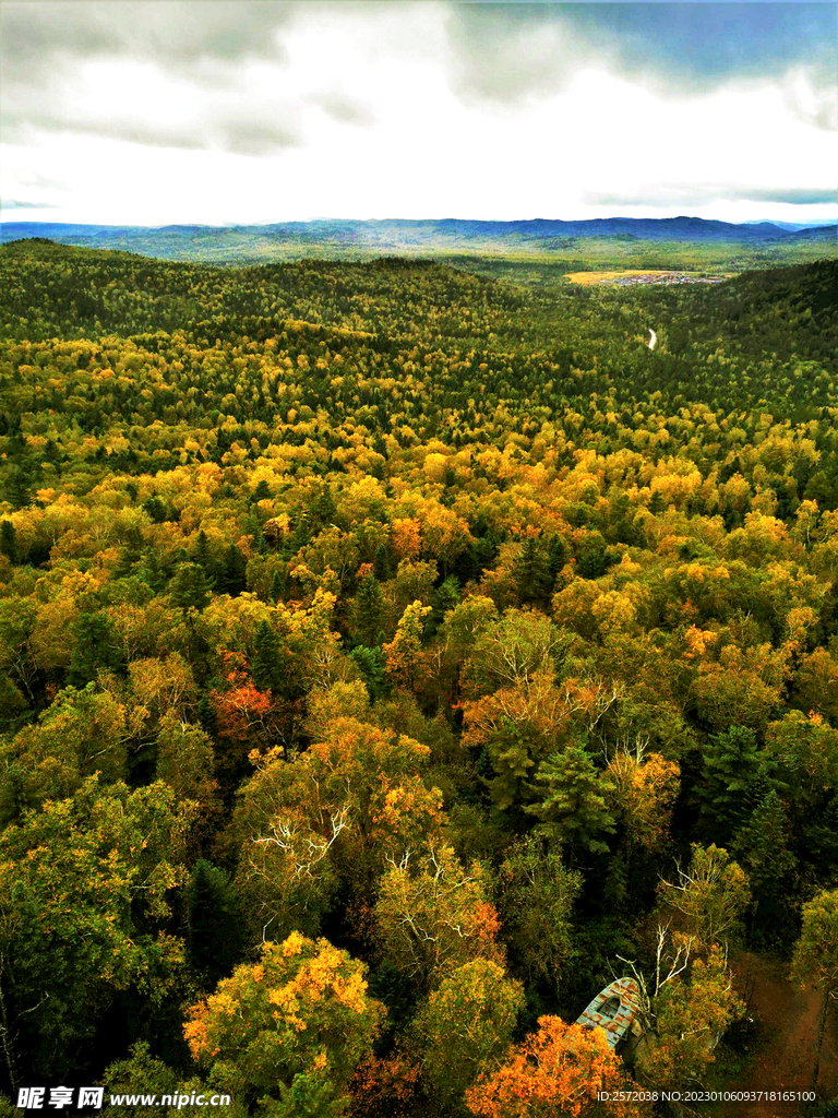 黑龙江伊春新青湿地