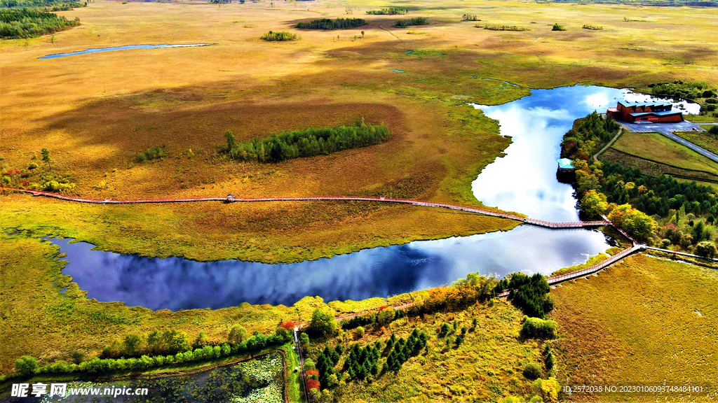 黑龙江伊春新青湿地