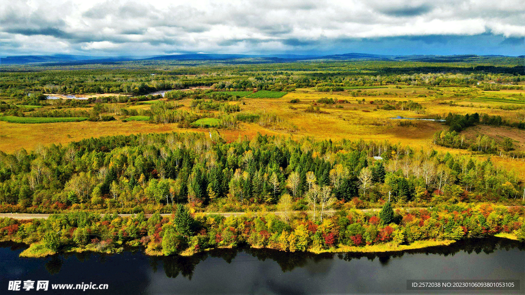黑龙江伊春新青湿地