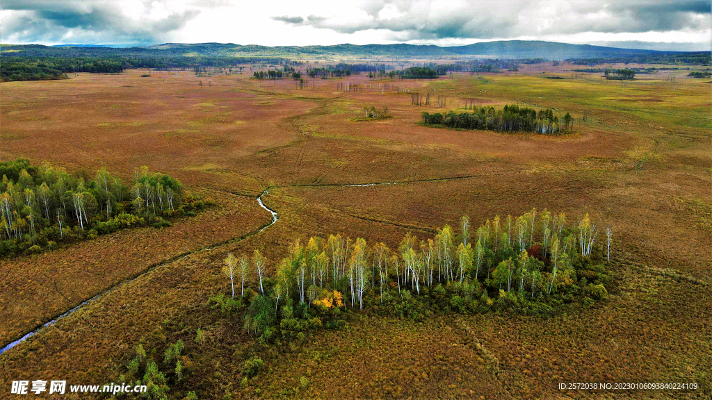 黑龙江伊春新青湿地