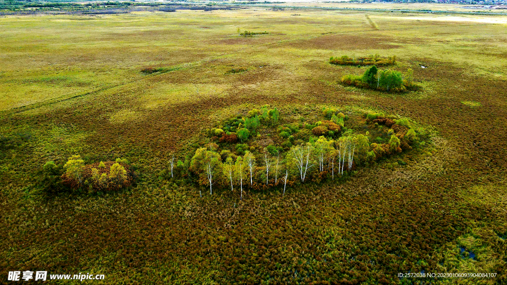 黑龙江伊春新青湿地