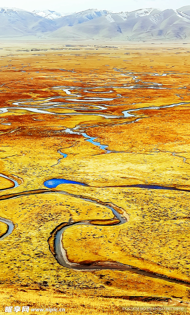 甘肃阿万仓湿地