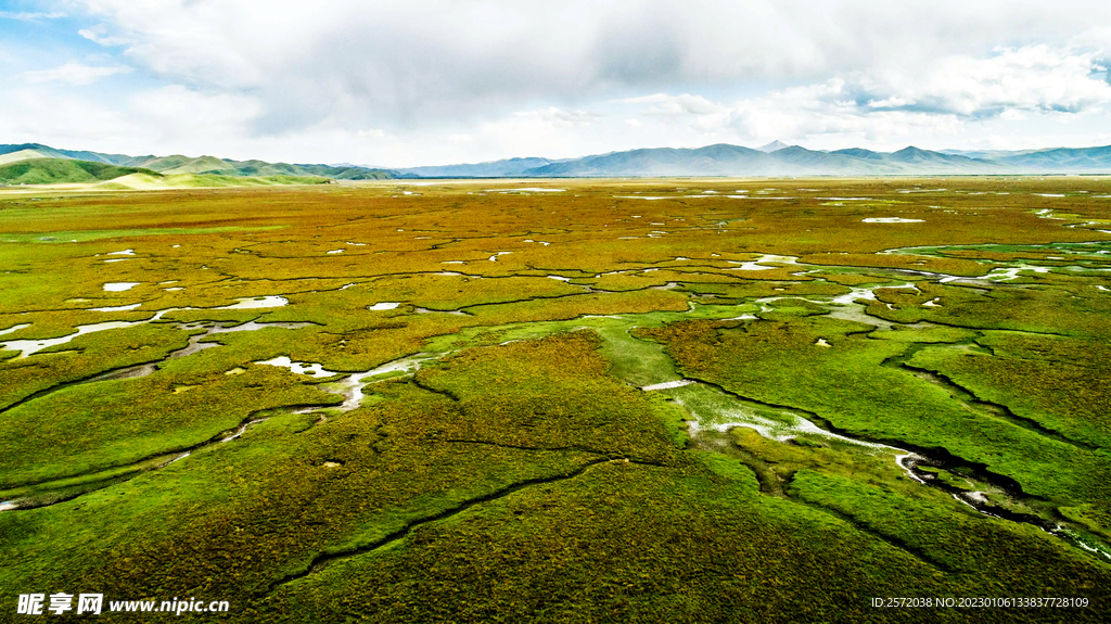 甘肃阿万仓湿地