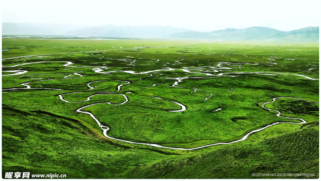 甘肃阿万仓湿地