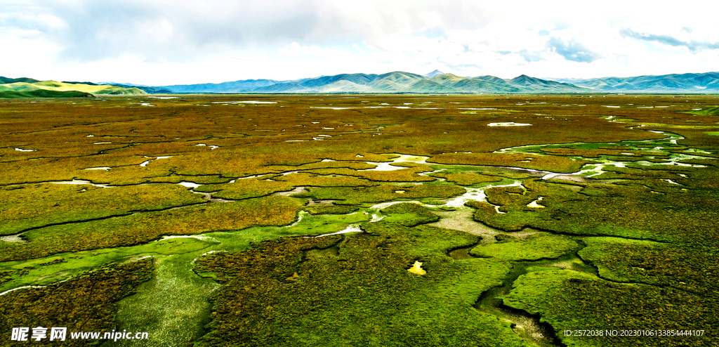 甘肃阿万仓湿地