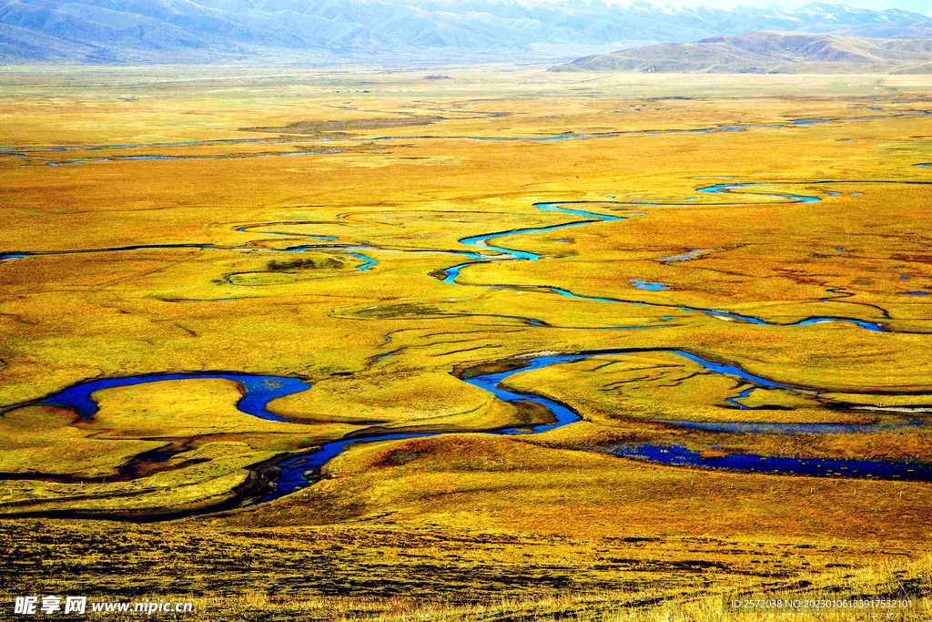 甘肃阿万仓湿地