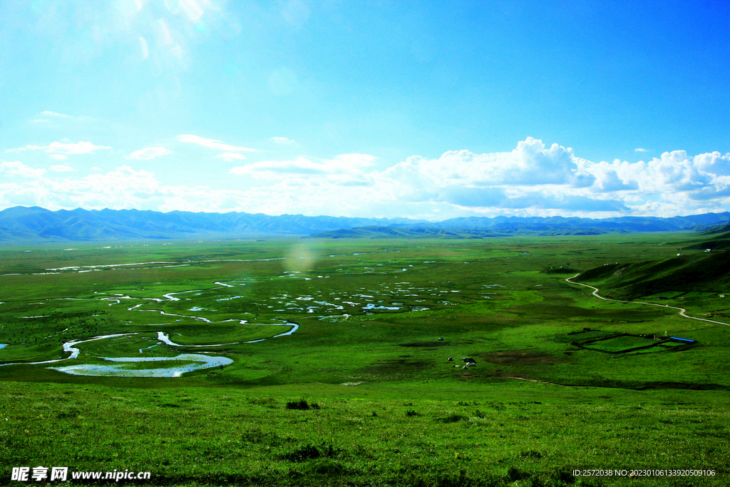 甘肃阿万仓湿地