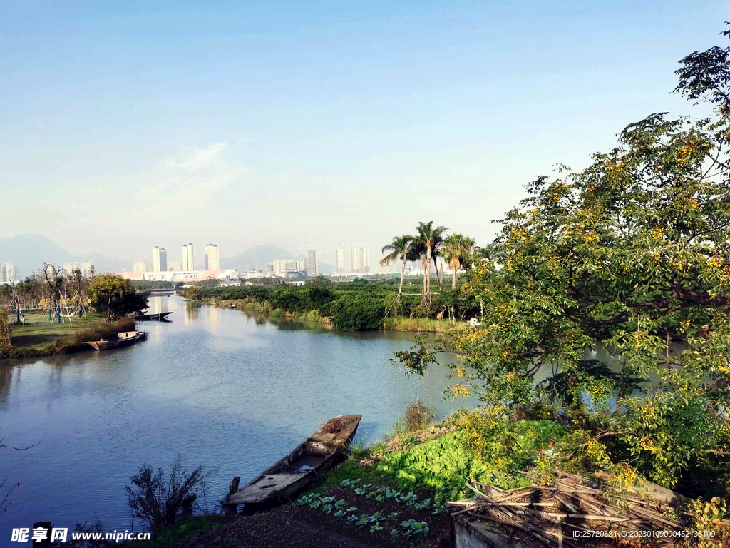 浙江温州三垟湿地公园