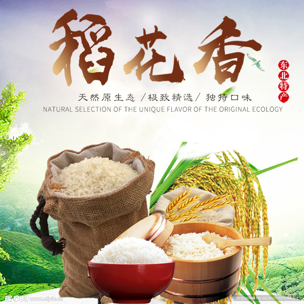 大米主图
