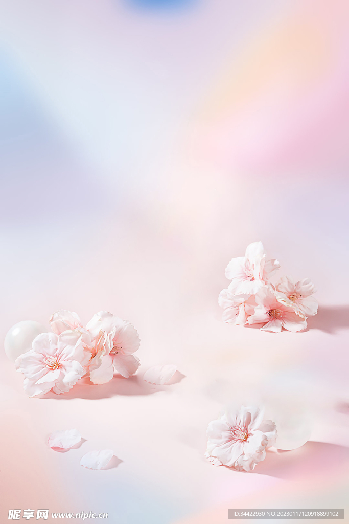 渐变樱花背景