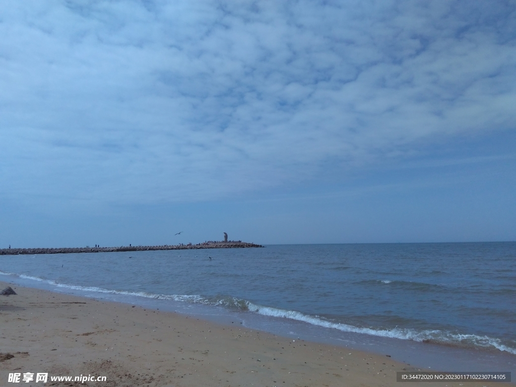 龙口海边风景