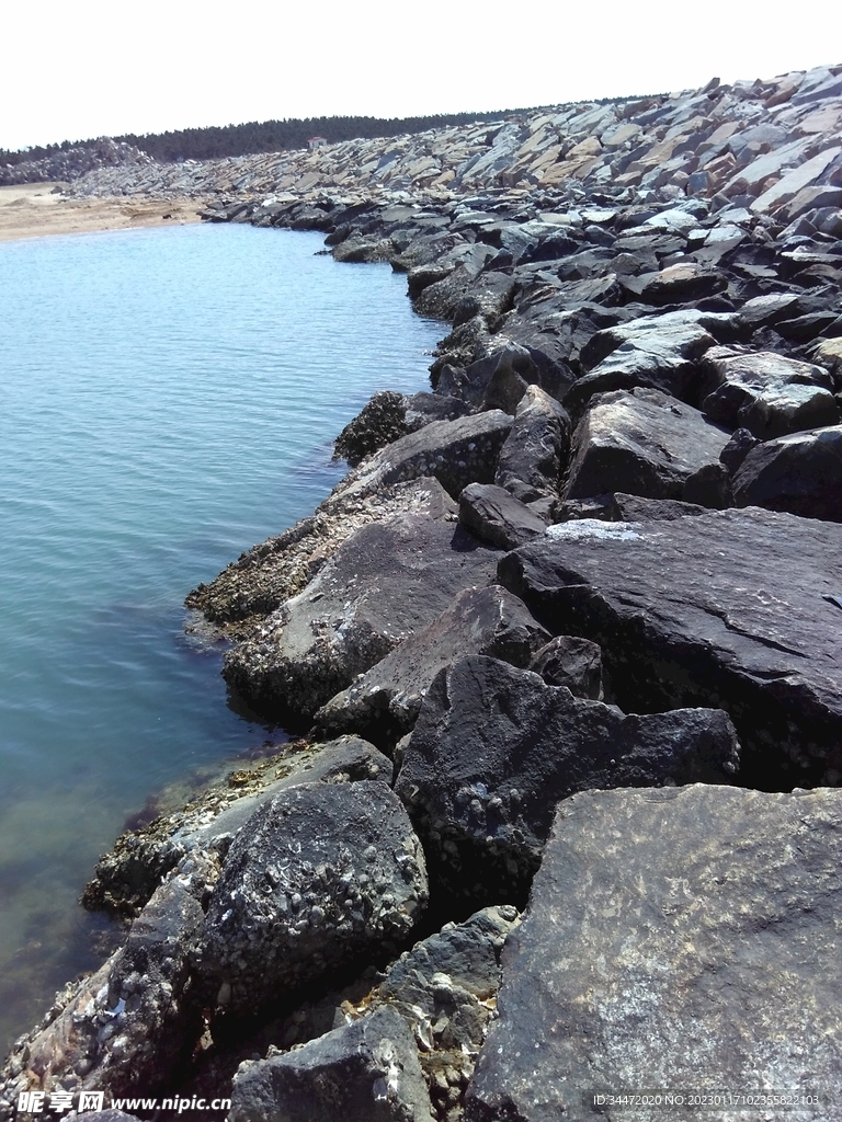 龙口海边风景