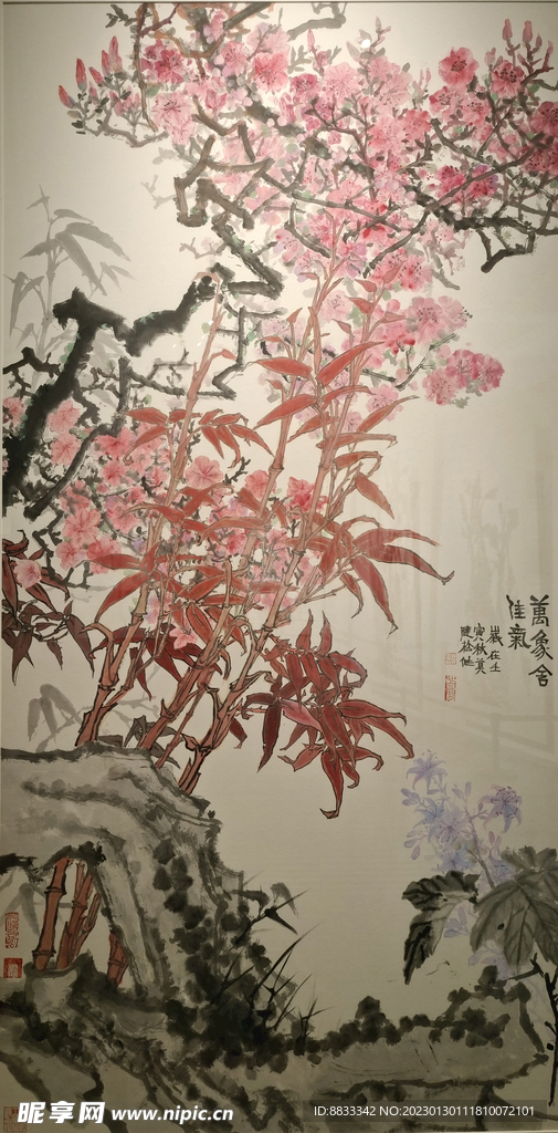 花鸟