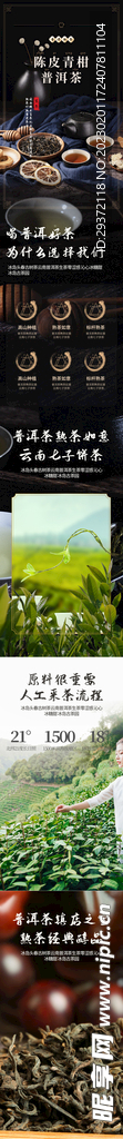 大气中国风茶业普洱电商首页
