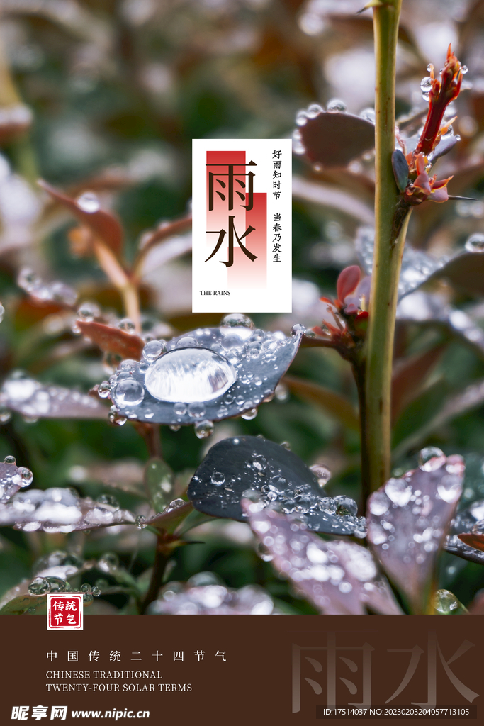 雨水二十四节