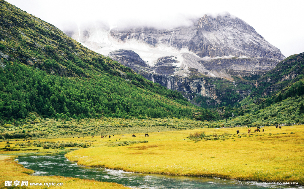 四川稻城亚丁风光