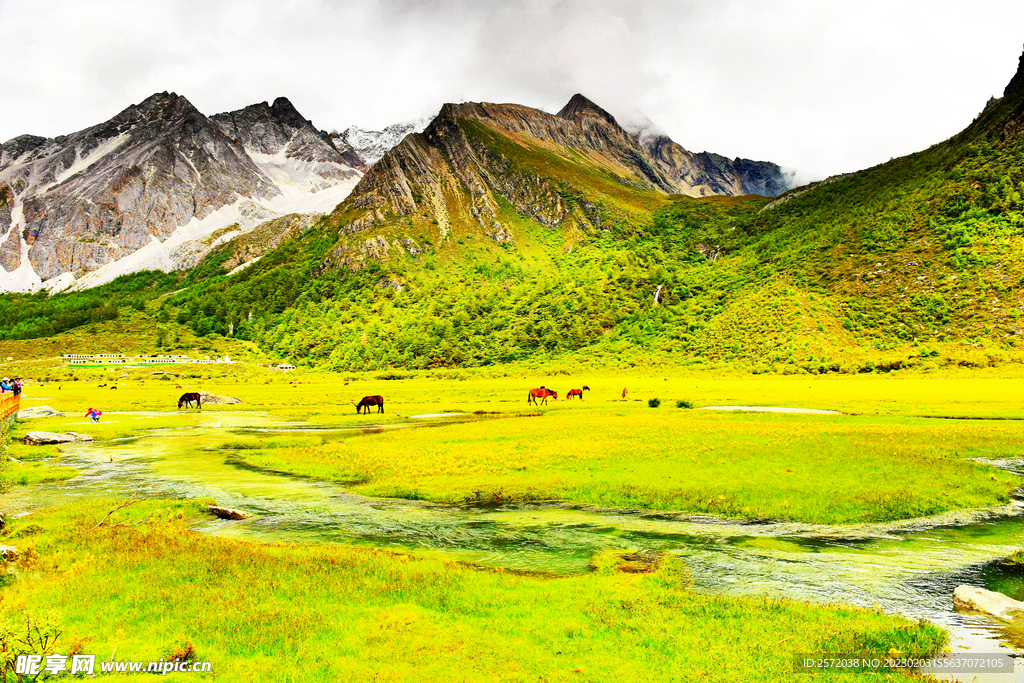 四川稻城亚丁风光