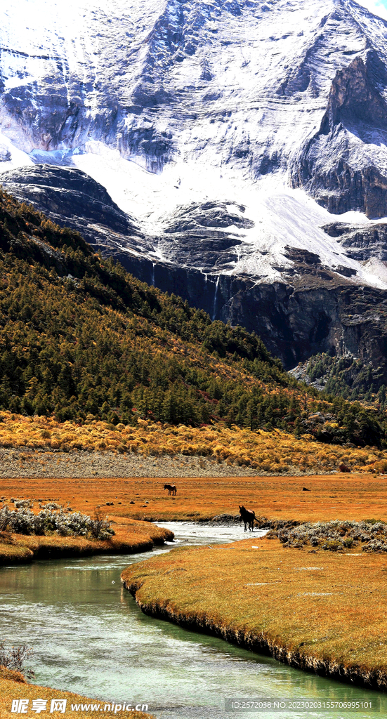 四川稻城亚丁风光