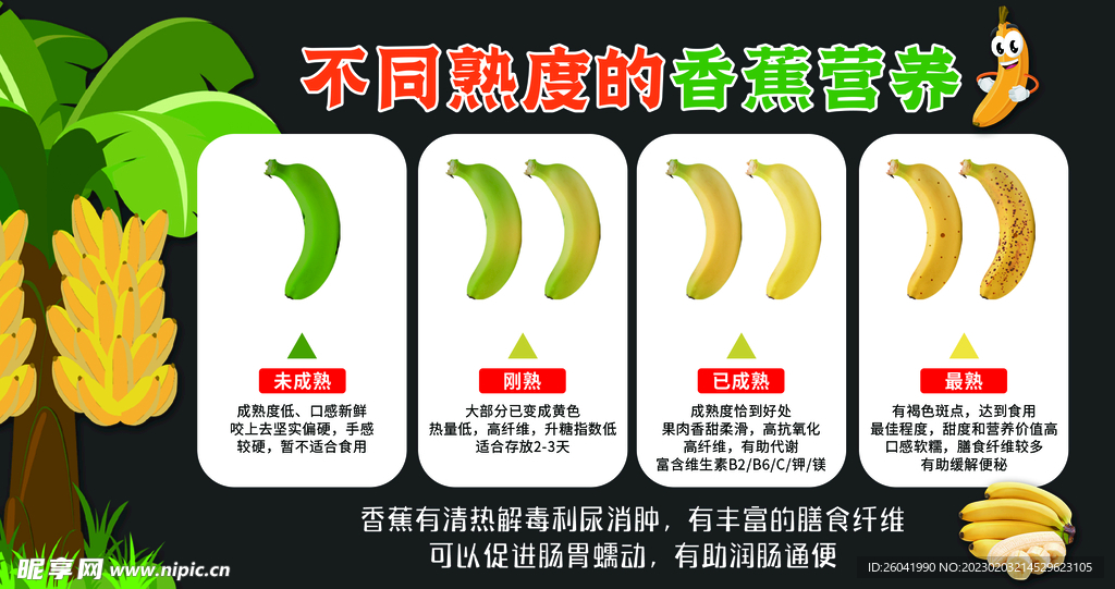 不同熟度的香蕉营养