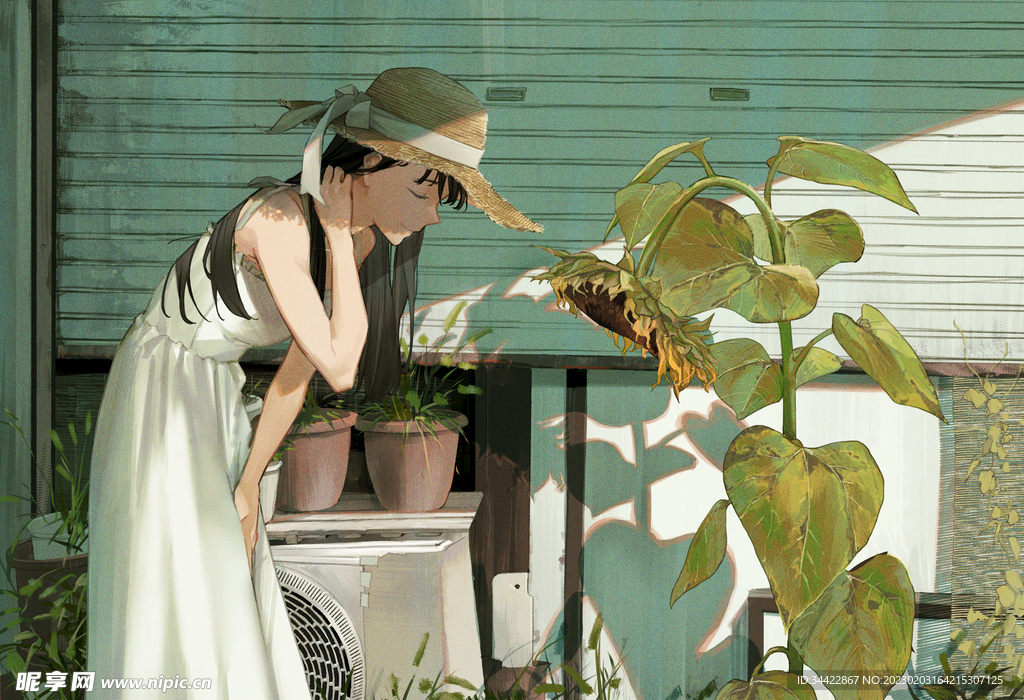 平凡的看花女孩