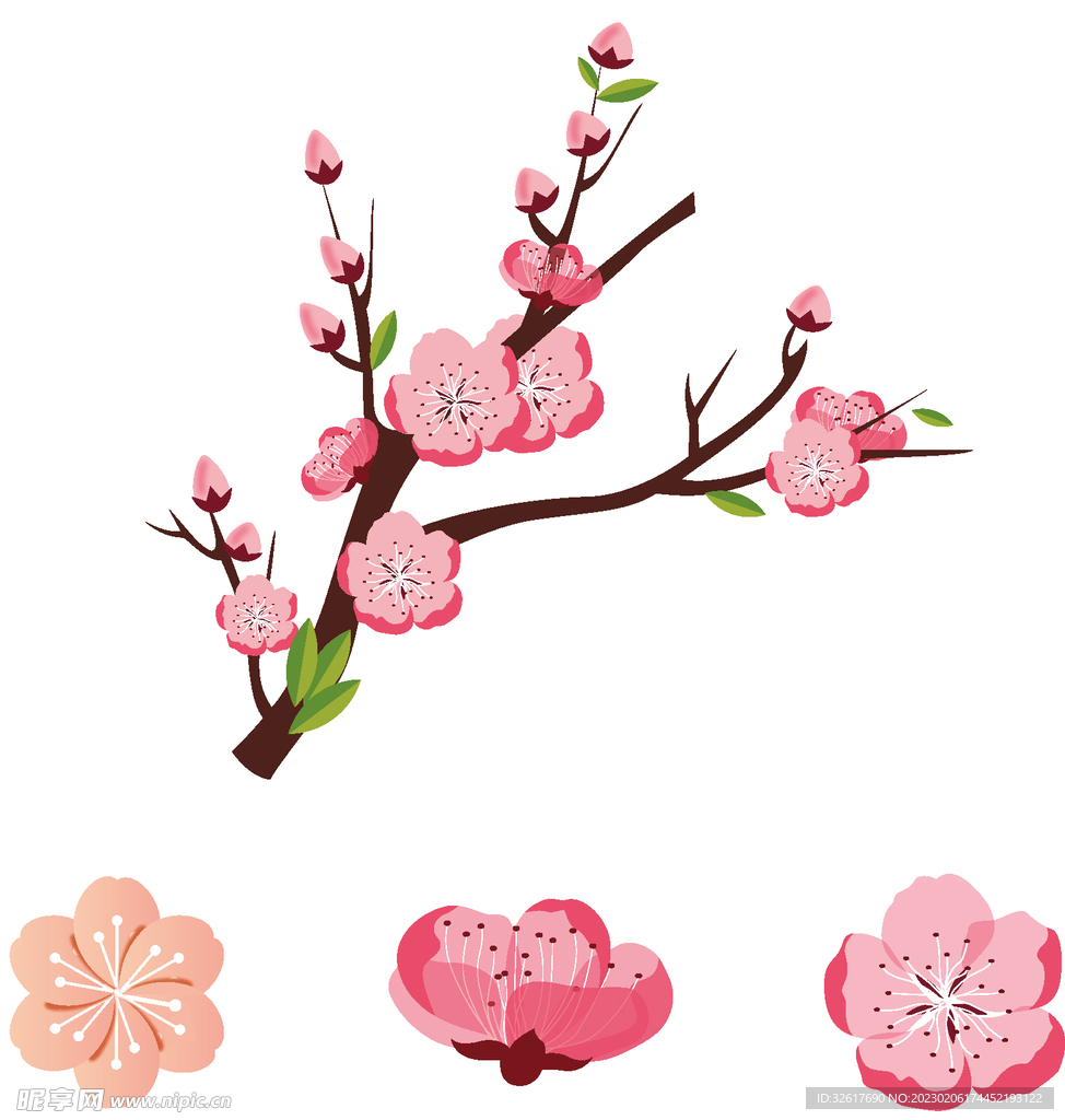 春天手绘插画桃花