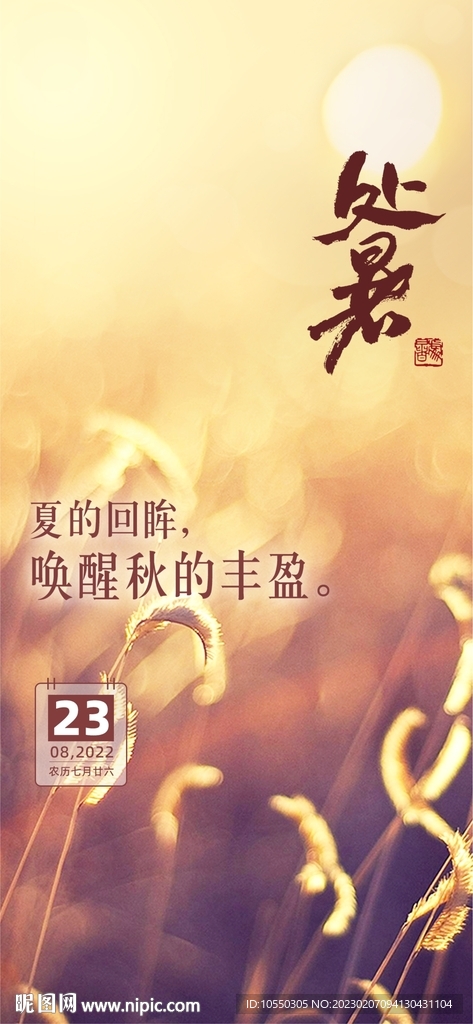 二十四节气处暑海报