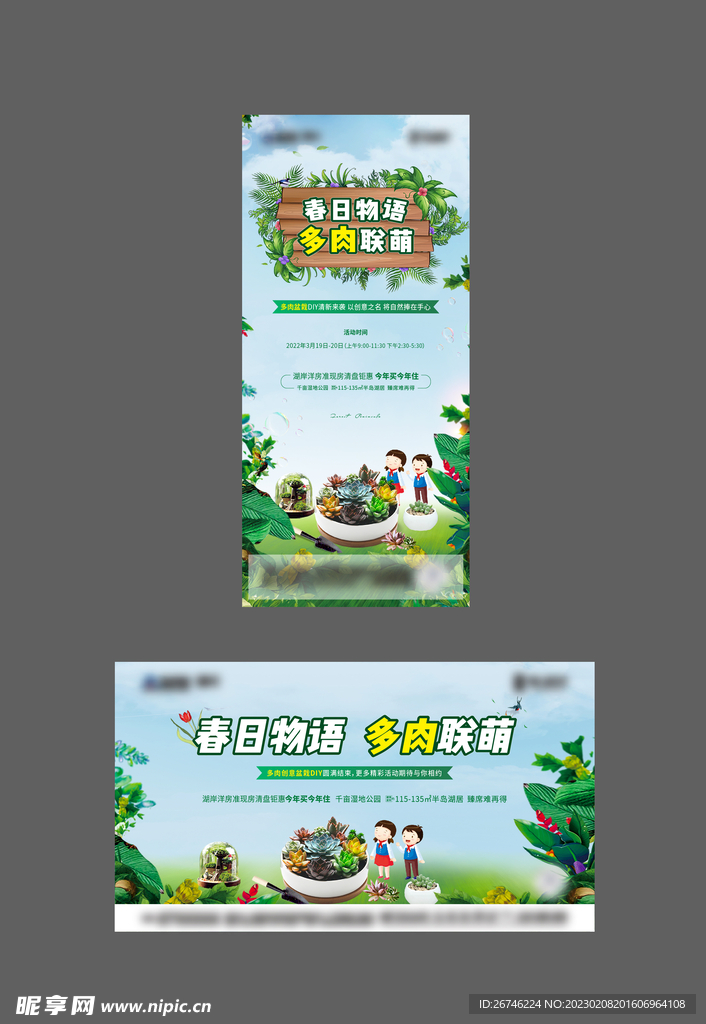 地产  活动  多肉 