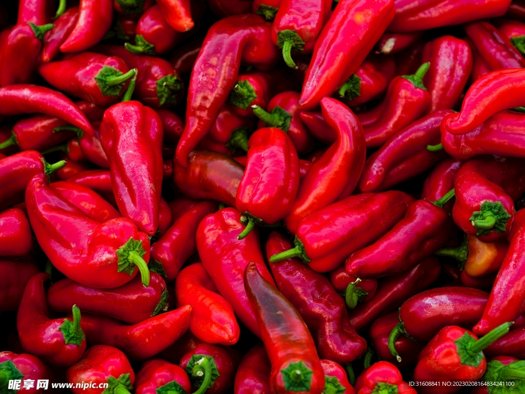 红辣椒
