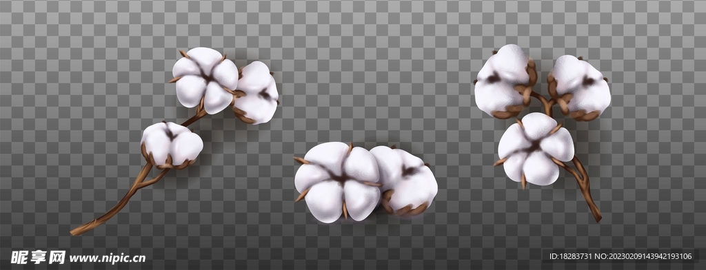逼真棉花素材
