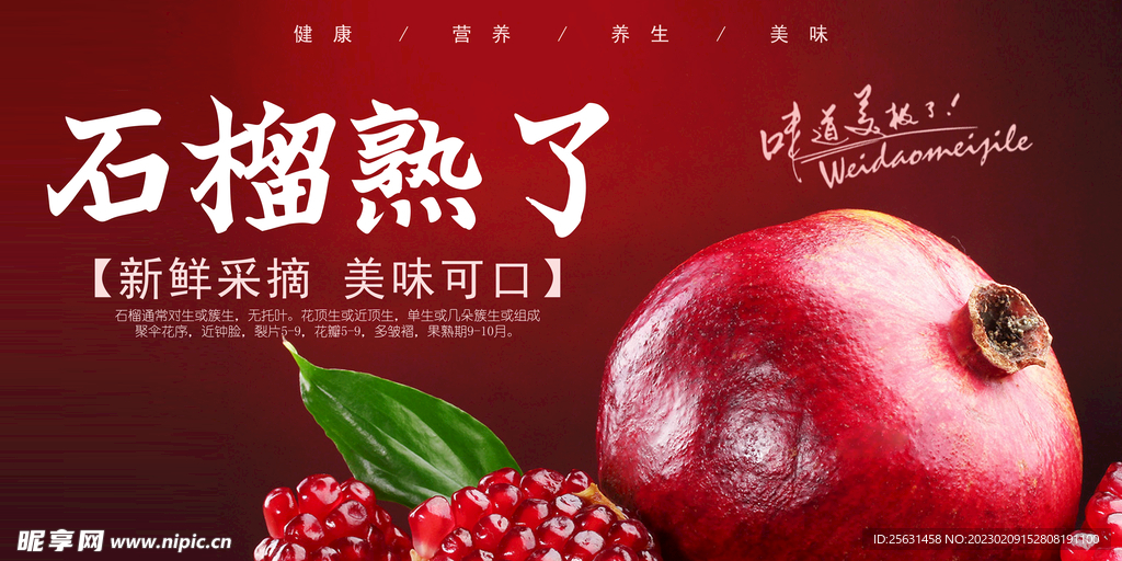 石榴展板
