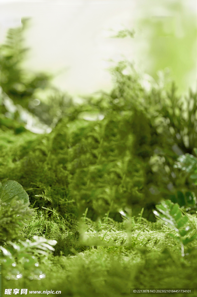 绿色自然C4D产品场景展示